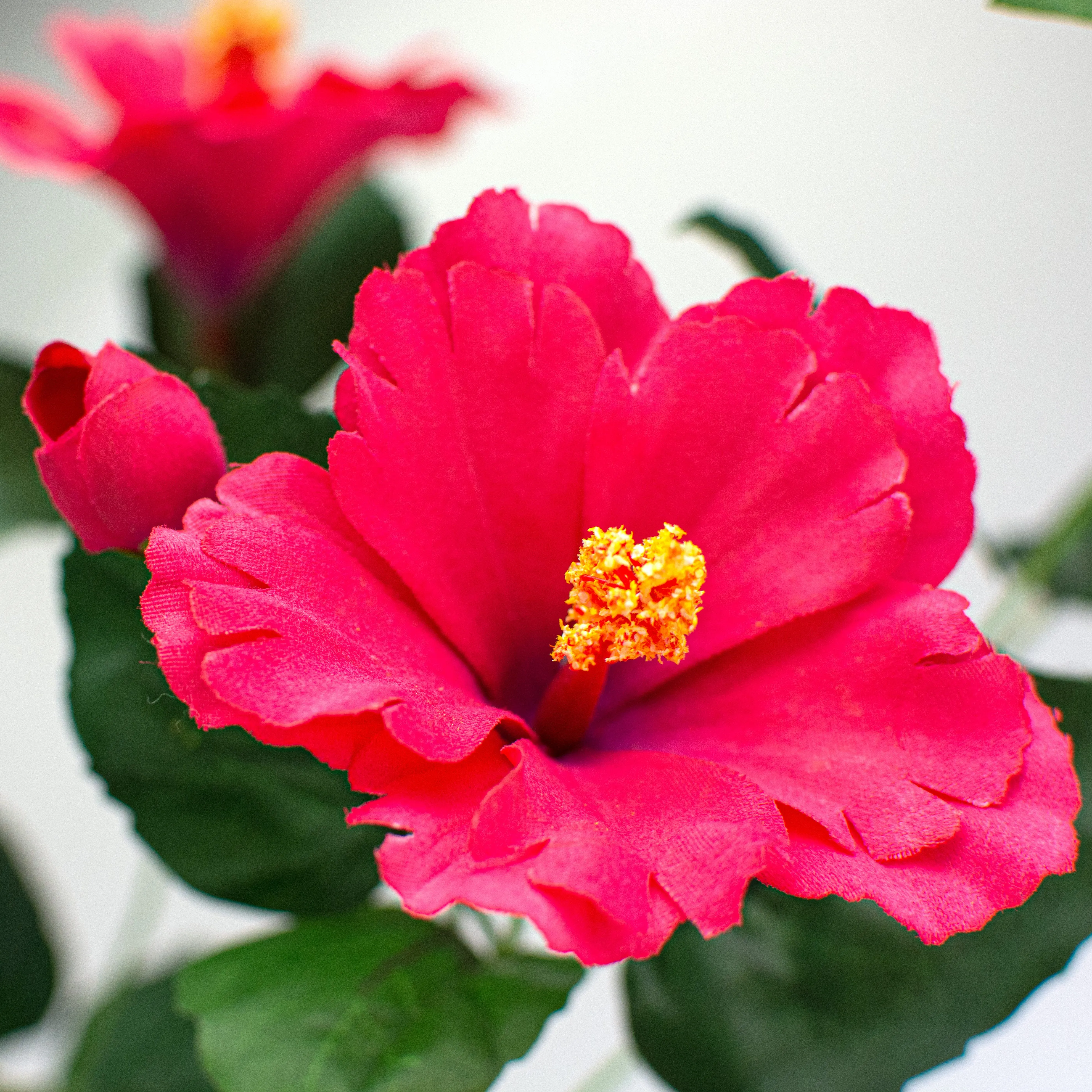 28" Hibiscus Spray: Fuchsia Pink